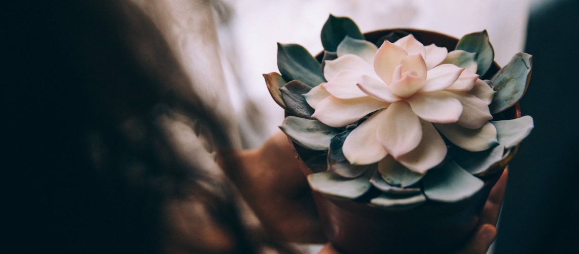 woman-holds-potted-flower-in-her-hands-1-scaled.jpg